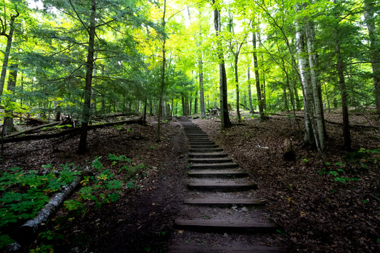 Ice Age Trail