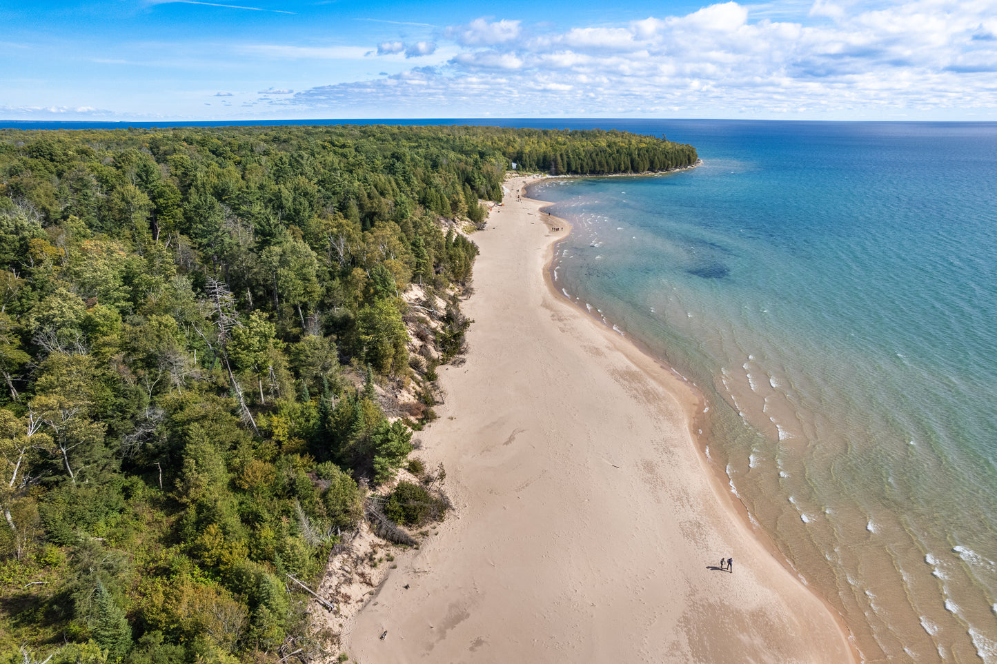 Looking North Along The Sandy Shore