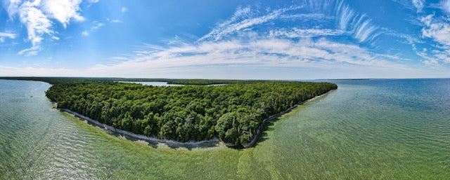 Newport Panorama
